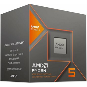 AMD RYZEN 5 8600G @ 4.3GHz